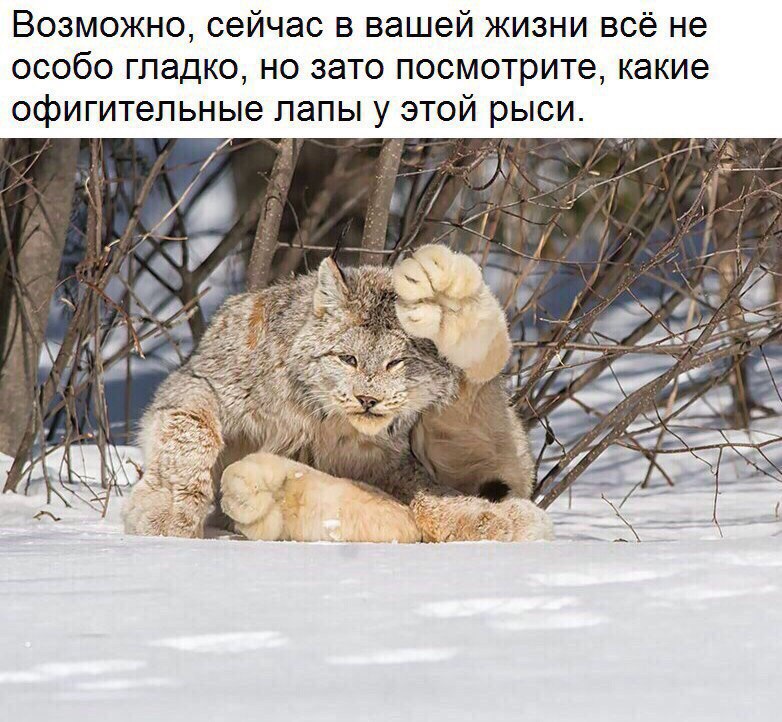       - 27  2017  13:48