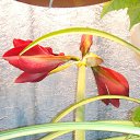 ���� ���������, �����-���������, 64 ���� - ��������� 29 �������� 2016 � ������ ���� �������� ����� !�