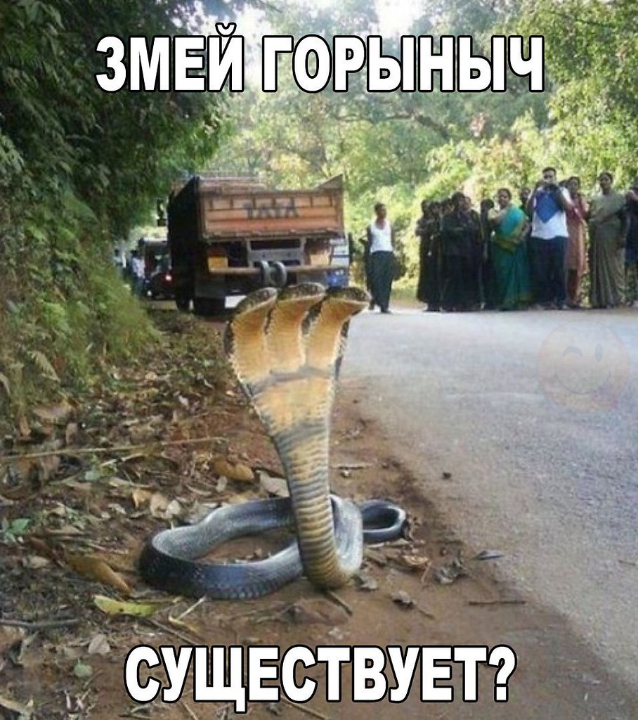 ������ �� ��� :D - 12 ������ 2017 � 23:05