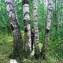 ���� �������, �����, 46 ��� - ��������� 10 ������� 2016 � ������ ���� 2016�