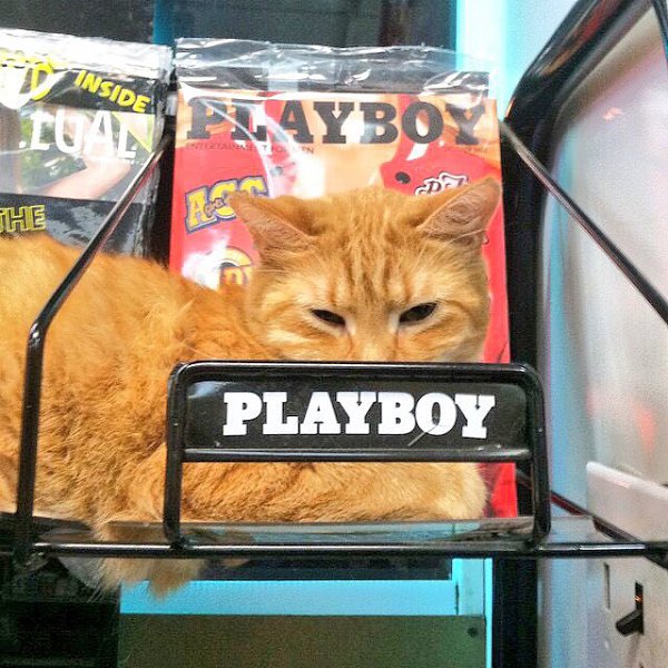 Play