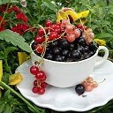 ���� ������ ��������, ������� - ��������� 28 �������� 2016 � ������ ������ ��������