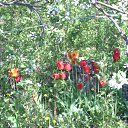 ���� Yusoup, ������, 70 ��� - ��������� 1 ������ 2017 � ������ ���� ����������