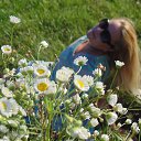 ���� �����, �����������, 43 ���� - ��������� 24 ������� 2016 � ������ ���� ����������