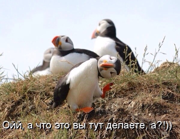   - 10  2016  10:42