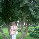 ���� ����, ������, 62 ���� - ��������� 22 ������� 2016 � ������ ���� ����������