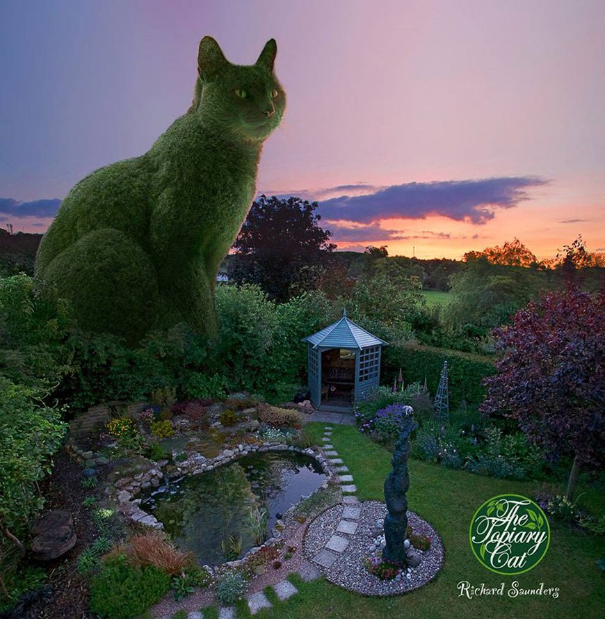 ))).Topiary Cat:     -       ...