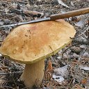 ���� ������, ���������, 65 ��� - ��������� 23 ����� 2017 � ������ �������