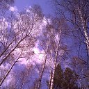 �������� ����. �� ������� �������