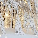 ���� �����, ������ - ��������� 30 ������ 2017 � ������ ���� ����������
