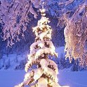 ���� ��������, ������ - ��������� 29 ������ 2017 � ������ ���� ����������