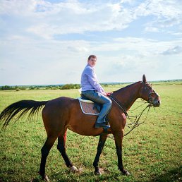 ������, ���������, 37 ���