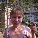 ���� ������, �������� - ��������� 4 ������� 2017 � ������ ���� ����������