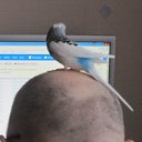 � � ����� �� ����������� �� ������� ���� ����������