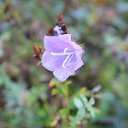 ���� �������, ��������, 47 ��� - ��������� 2 ������� 2016 � ������ ���� ����������