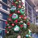 ���� Zoirxon, ����, 40 ��� - ��������� 29 ������ 2017 � ������ ���� ����������