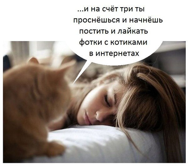  -  - 12  2016  18:35