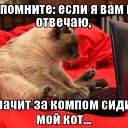 ���� ���������, ������ - ��������� 5 ������� 2017 � ������ ���� ����������