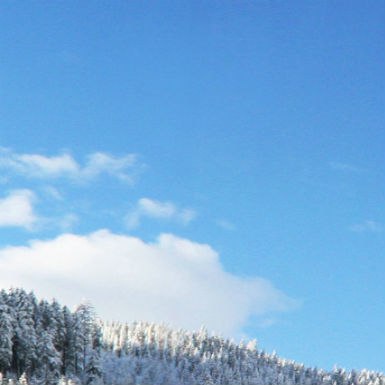   :).   :1.   5   .2.    . ... - 2