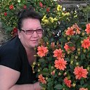 ���� ������, �������, 51 ��� - ��������� 24 ������� 2016 � ������ ���� ����������