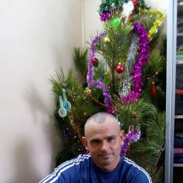 Dima, , 49 