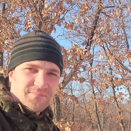 ���������, �����������, 40 ���