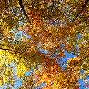 ���� ������, ������ - ��������� 10 ������� 2016 � ������ ������ ��������