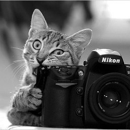 ����, �����������, 40 ���