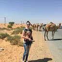 ���� ������, �������, 37 ��� - ��������� 4 ������� 2017 � ������ ���� ����������