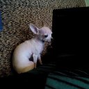 ���� Aleksandr, �����, 51 ��� - ��������� 30 ������� 2016 � ������ ���� ����������