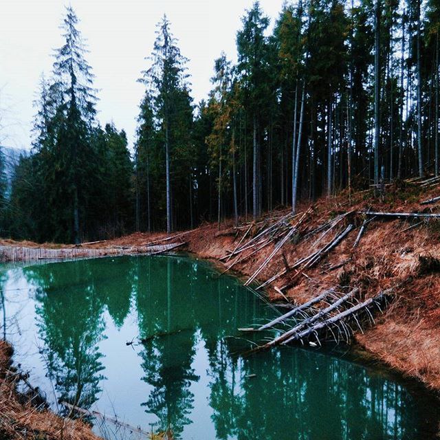 #Carpathians, #Ukraine - 4