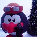 ���� �����, ���������, 53 ���� - ��������� 4 ������� 2016 � ������ ���� ����������