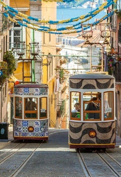 ��������, ���������� - 7