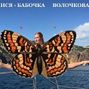 ���� ������, �����, 67 ��� - ��������� 11 ����� 2017 � ������ ������ ��������