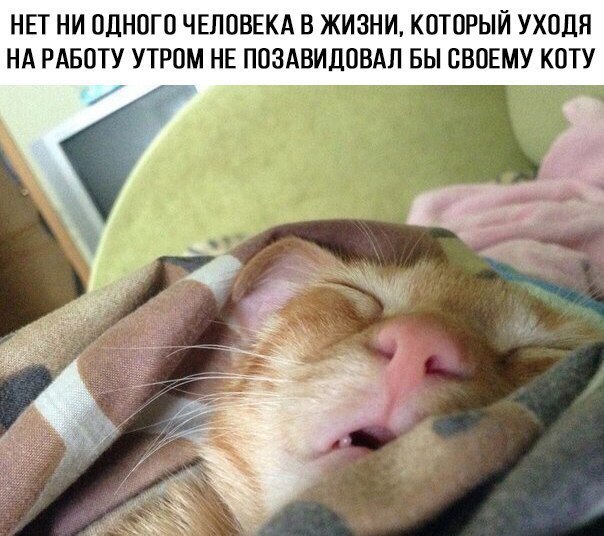  -   - 9  2017  07:53