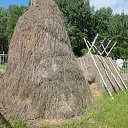 ������ �� ������� ���� ����������