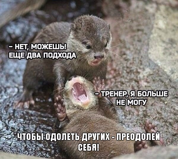  -   - 6  2016  19:44