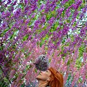 ���� C�������, ������, 39 ��� - ��������� 3 ������� 2016 � ������ ���� ����������