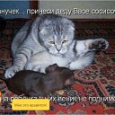 ���� ��������������!!!, ������ - ��������� 1 ������� 2016 � ������ ������ ��������