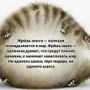 ���� �����, ������ - ��������� 17 �������� 2016 � ������ ������ ��������