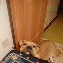 ���� ������, ������, 49 ��� - ��������� 7 ������� 2016 � ������ ���� ����������