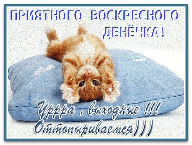 ....!!!!  : ........., ,  , ..............  ...
