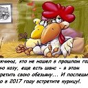 ���� �����, ����������� - ��������� 23 ������ 2016 � ������ ������ ��������