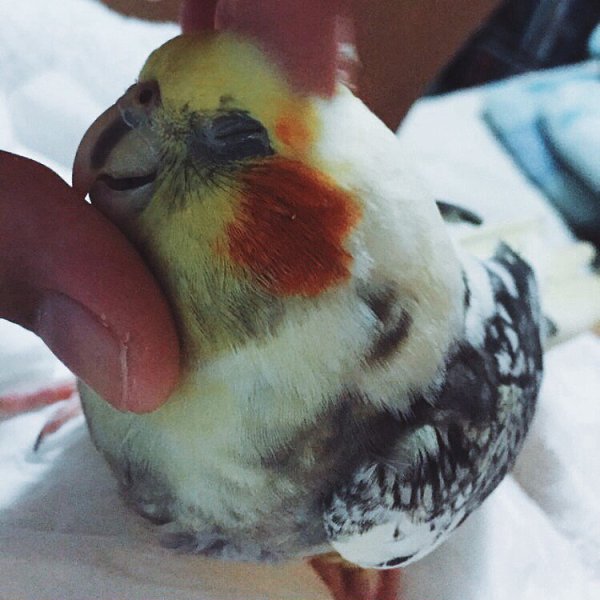   - 7  2016  10:23 - 6