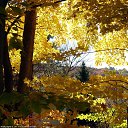 ���� ���������, ������, 69 ��� - ��������� 21 �������� 2016 � ������ �������