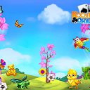 ���� �������, ��������, 40 ��� - ��������� 7 ����� 2017 � ������ �������� �������-�������