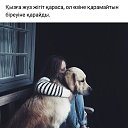 ���� �����, �����, 41 ��� - ��������� 9 ������ 2017 � ������ ������ ��������