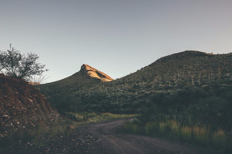Arizona - 8