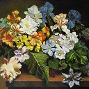 ���� ������, ����� - ��������� 25 �������� 2016 � ������ ������� �����