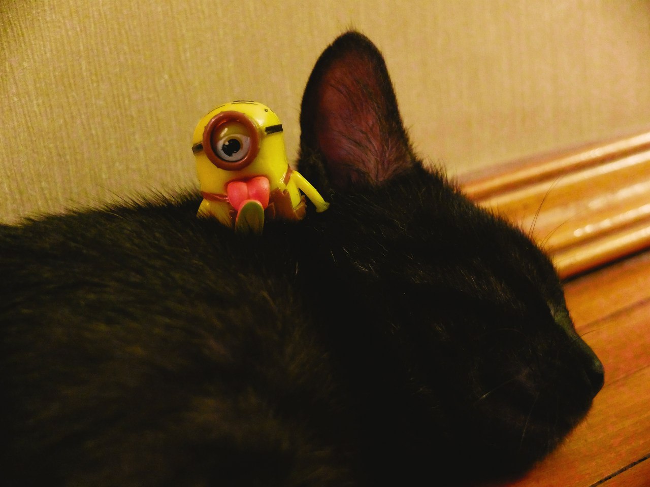 #_.  2015     ,      ... - 3